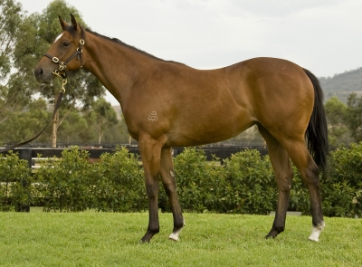 Conceal (AUS) - photo 1