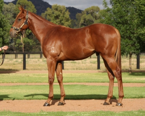 Attorney General - photo 1