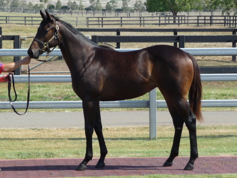 Call Me Paris (AUS) - photo 1