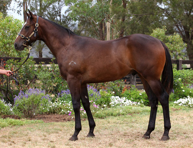 Unannounced - photo 1