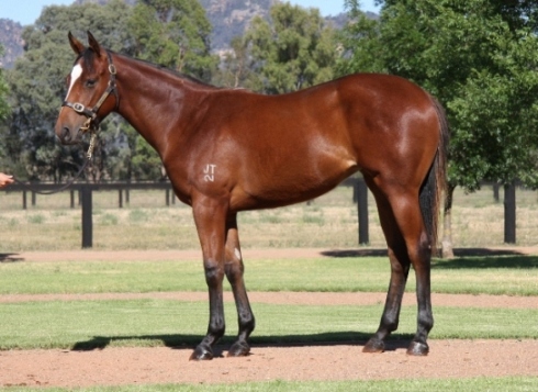 Lillyofthevalley - photo 1