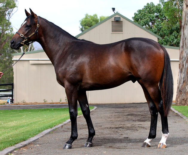 Exquisitely Sweet (AUS) - photo 1