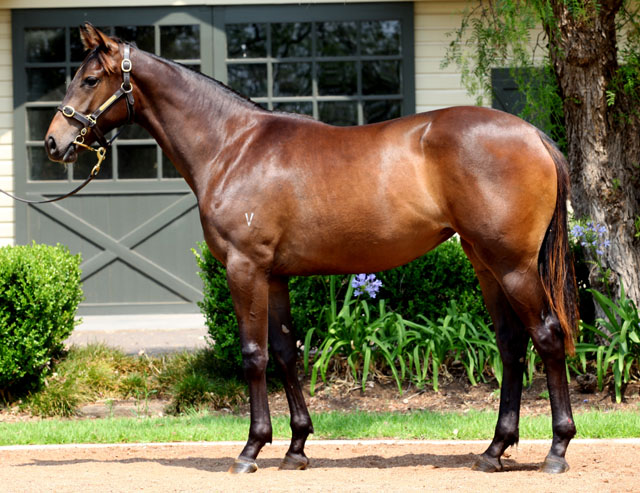 Not A Dream - photo 1