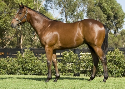 First Class Flyer - photo 1