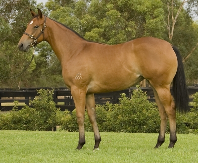 Flying Forward - photo 1