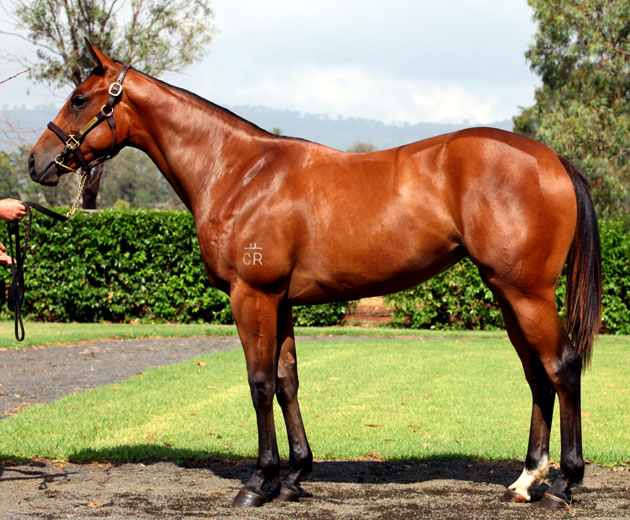 Midnight Reigns - photo 1