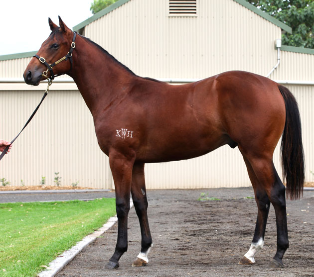 Speed Challenger - photo 1