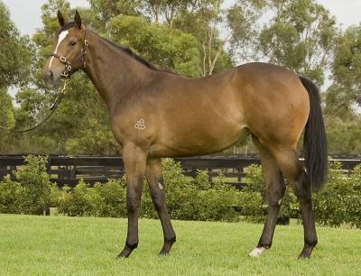 Tumble Turn - photo 1