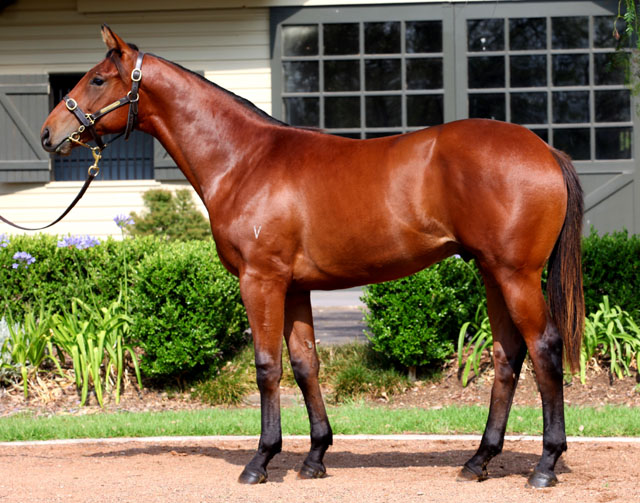 Eye Of The Storm - photo 1