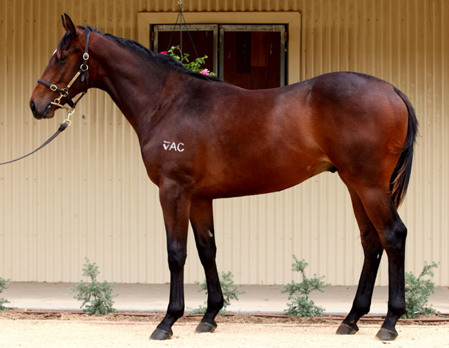 Chancellor - photo 1