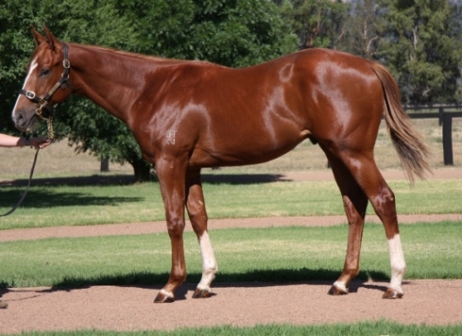 Straight Gold - photo 1