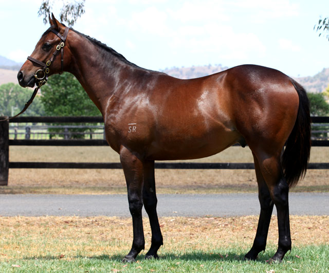 Snippets Of Glory - photo 1