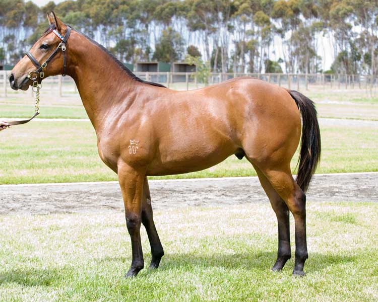 Buddy Boomtime - photo 1