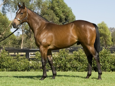 Kingdom Of War - photo 1