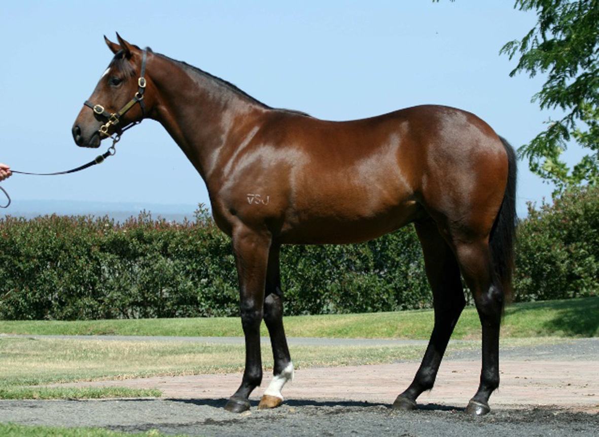 On Full Alert - photo 1