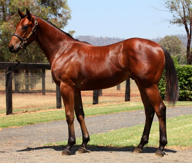 Karma Force - photo 1