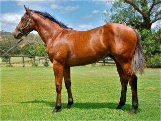 Shall Rock - photo 1