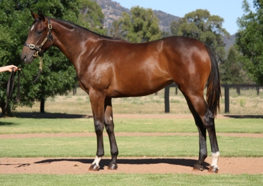 Holy Roman Emperor (IRE) / In The East (NZ) - photo 1