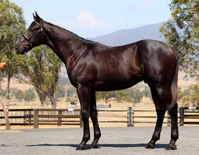 Master Racer - photo 1