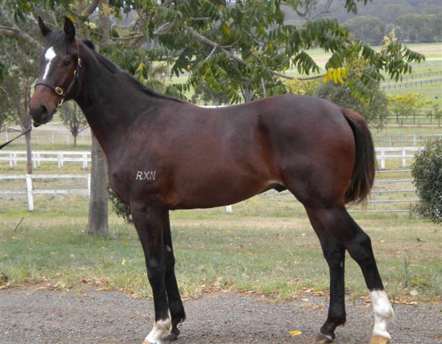 Show Us Ya Ivorys - photo 1