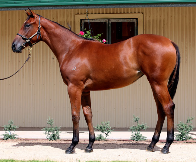 Miss Magic Chine - photo 1