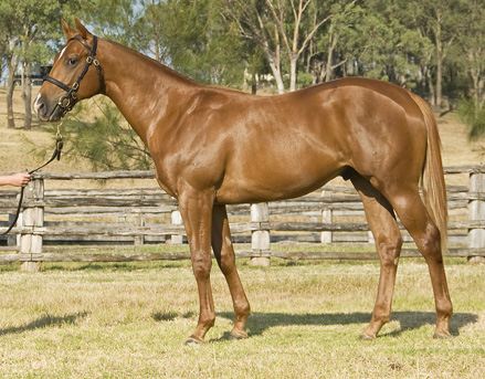 Rocket Brother - photo 1