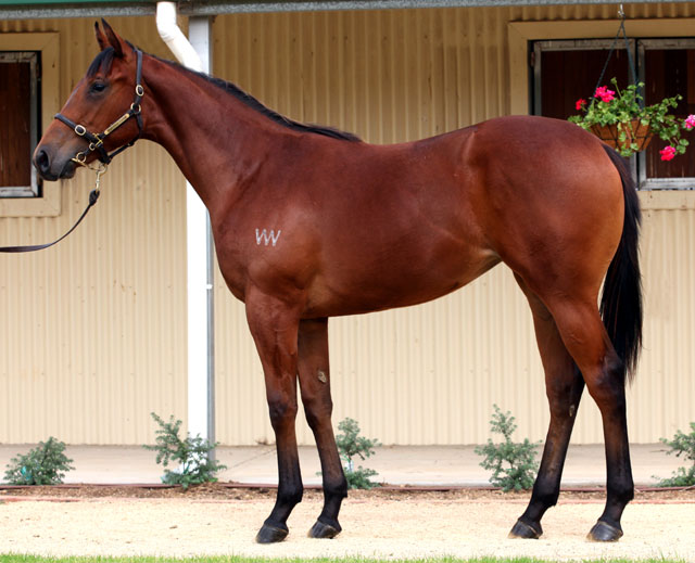 Break New Ground - photo 1