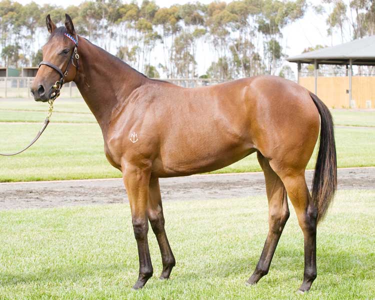 Kuan Yin (AUS) - photo 1