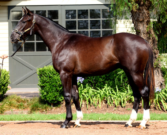 Ready For Sure - photo 1