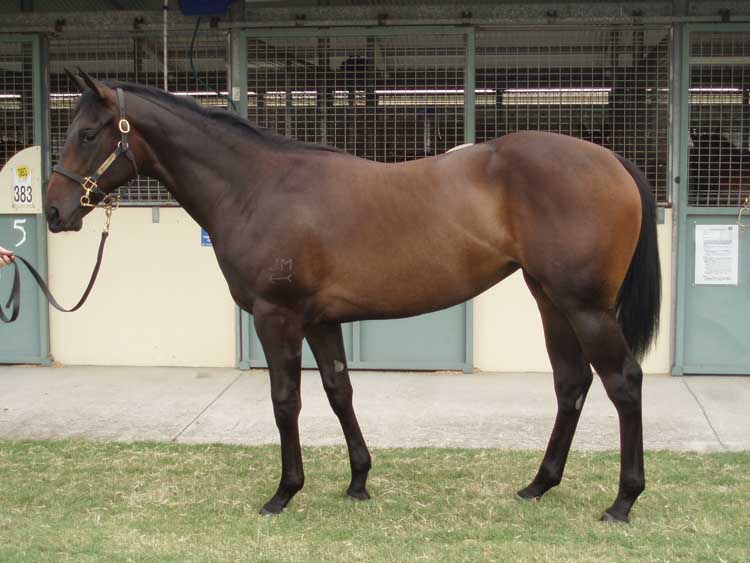 Queen Cleopatra - photo 1