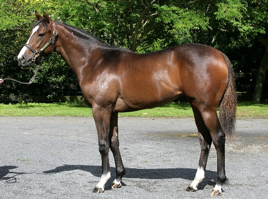 Rongonui (NZ) - photo 1