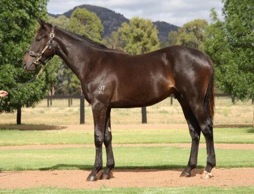 Manhattan (AUS) - photo 1