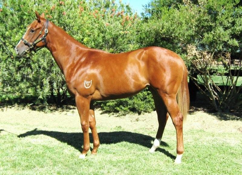 Thirty Dreams - photo 1