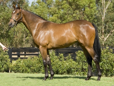 Miss Doubtfire - photo 1