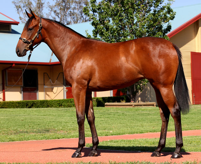 Madam Nazri - photo 1