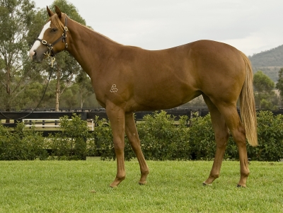 Hot Diamond - photo 1