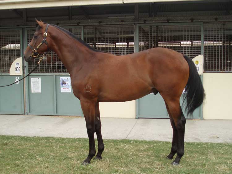 Starting Over - photo 1