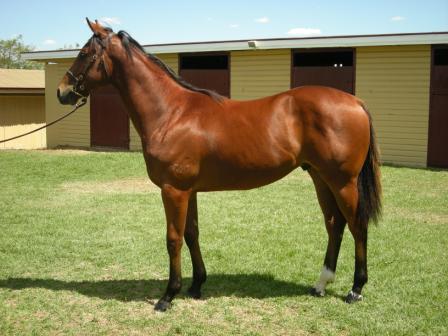 Daytime Dazzler - photo 1