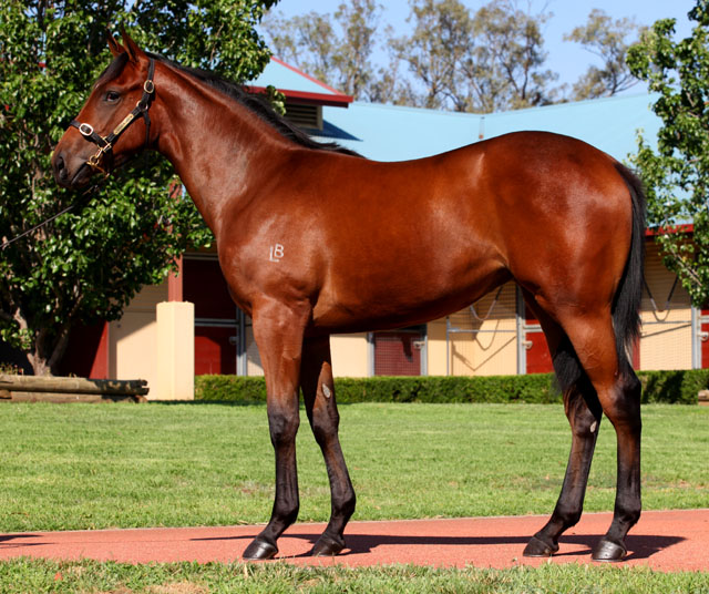 Rock Hit (AUS) - photo 1