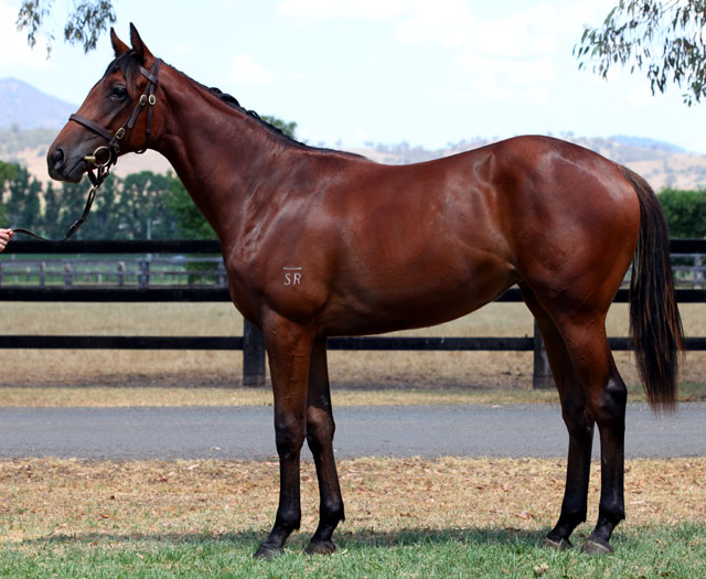 Midnight Minx - photo 1