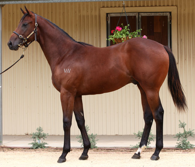 Aeronautical - photo 1