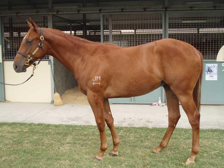 Power Gate - photo 1