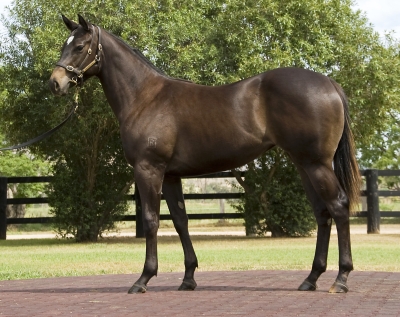 Back In Town - photo 1