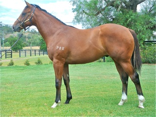 Wicked Game - photo 1