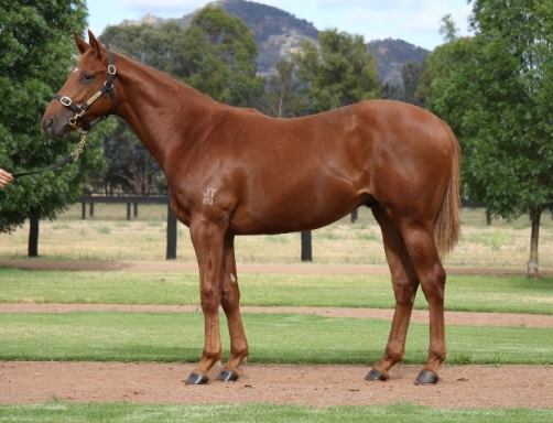 Stradamente - photo 1