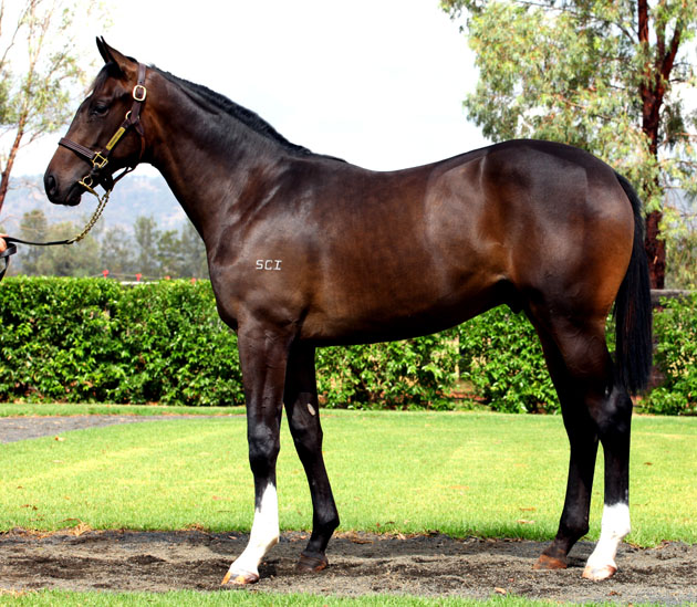 Son Of Caesar - photo 1