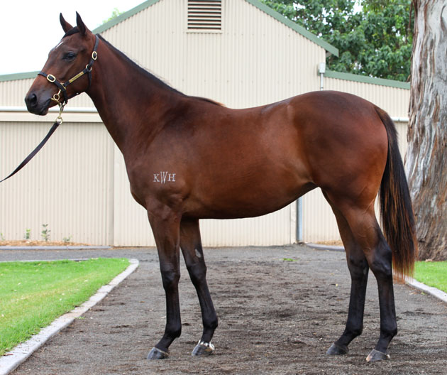 Fille Vilaine - photo 1