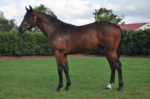 Dynamic Venture - photo 1