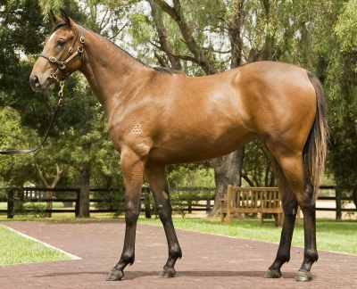 Noble Concubine - photo 1