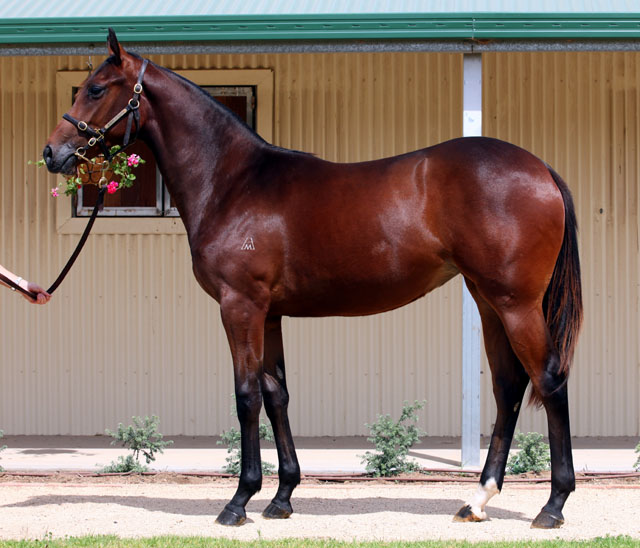 Timely Kiss - photo 1